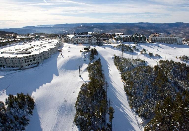 Mountain Lodge Snowshoe Dış mekan fotoğraf