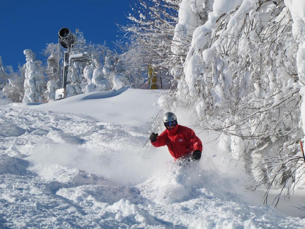 Mountain Lodge Snowshoe Dış mekan fotoğraf