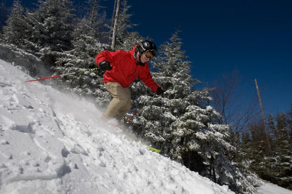 Mountain Lodge Snowshoe Dış mekan fotoğraf