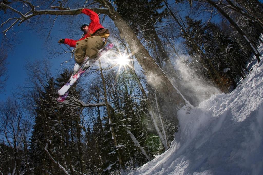 Mountain Lodge Snowshoe Dış mekan fotoğraf
